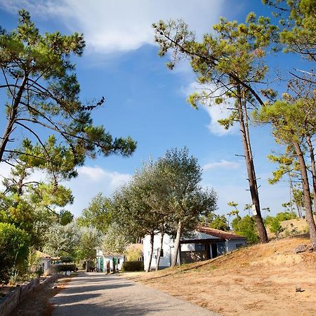 Village Vacances Le Petit Bec Saint-Hilaire-de-Riez ภายนอก รูปภาพ